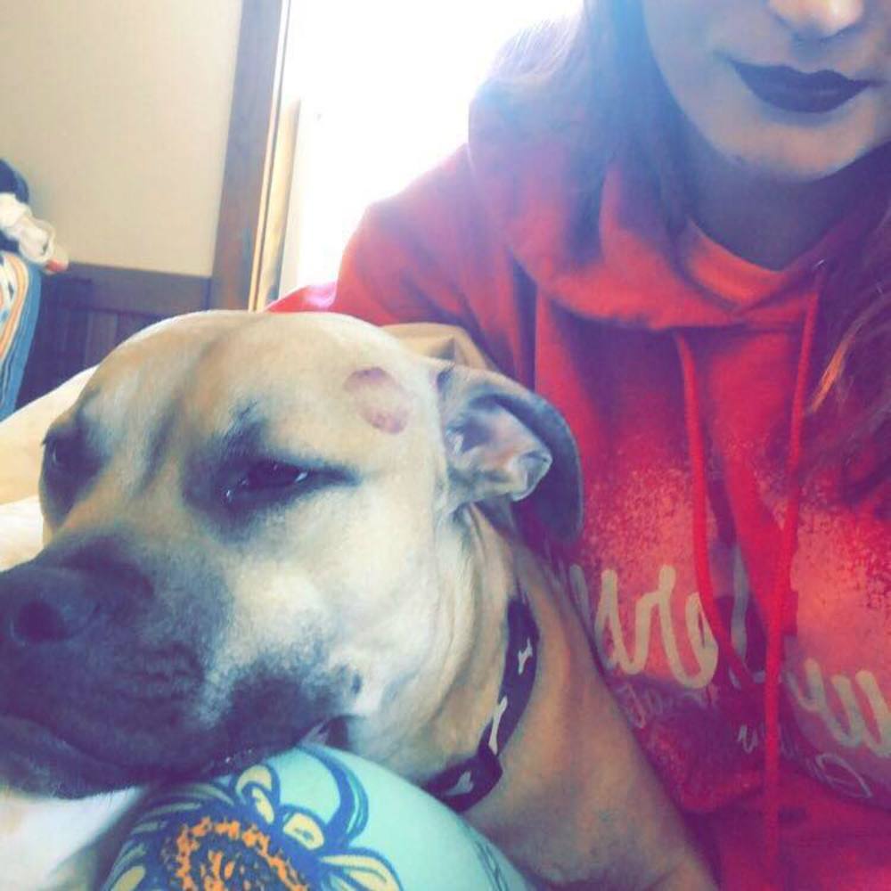 Meet your Posher, Virginia